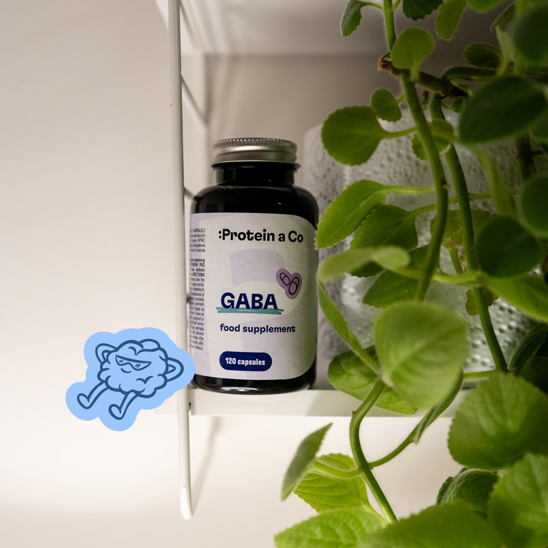 GABA-3